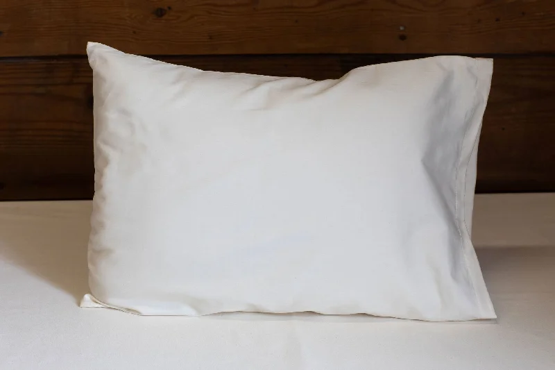 All-Natural Travel Pillow