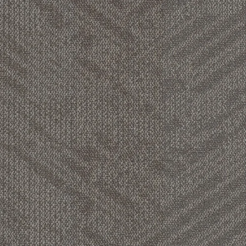 Shaw Contract - Creative Zone - Imagine Tile - 24 in. x 24 in. - Commercial Carpet Tile - Peptalk