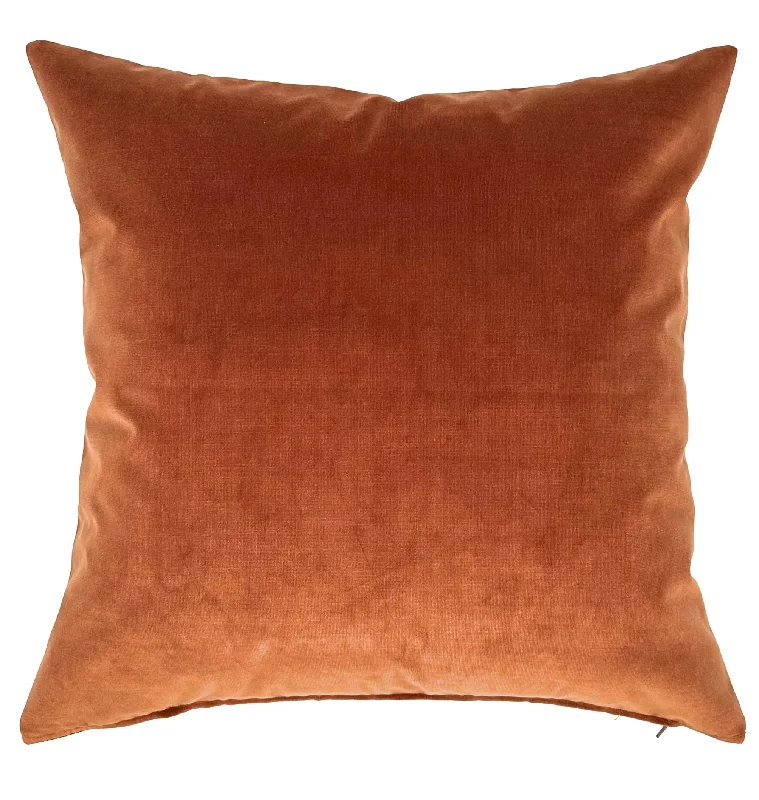 Bronze Modern Velvet Throw Pillow Cover 20x20