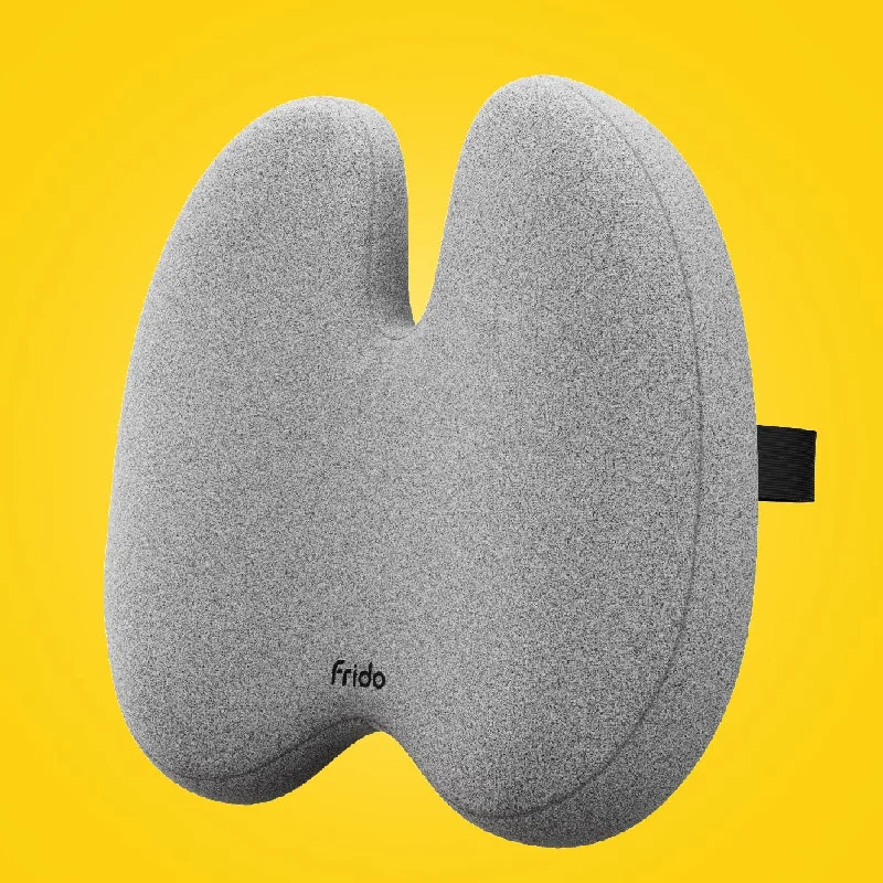 Frido Ultimate Pro Posture Corrector